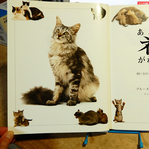 フォーグル『あなたのネコがわかる本』