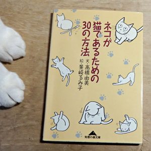 高橋由美『ネコが猫であるための３０の方法』