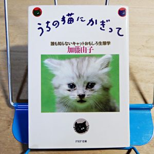加藤由子『うちの猫にかぎって』