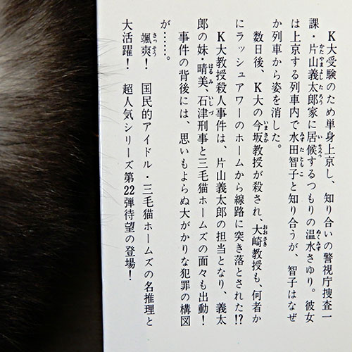 赤川次郎『三毛猫ホームズの傾向と対策』