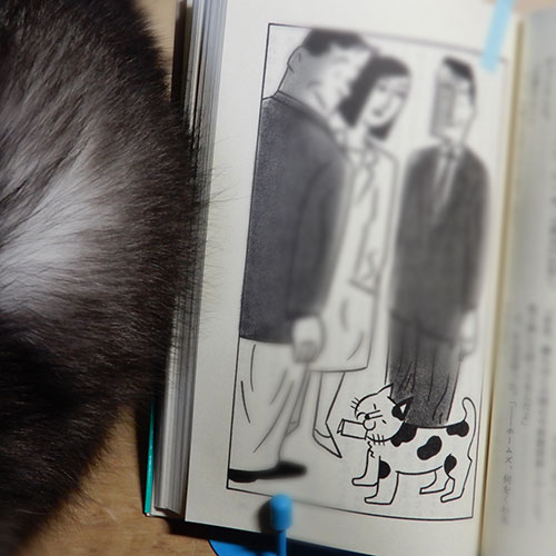 赤川次郎『三毛猫ホームズの傾向と対策』