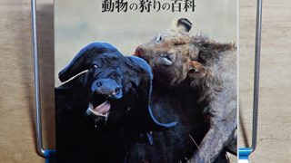 動物百科『動物の狩りの百科』