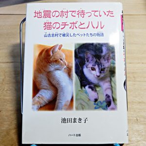 池田まき子『地震の村で待っていた猫のチボとハル』