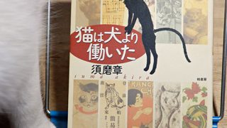 須磨章『猫は犬より働いた』
