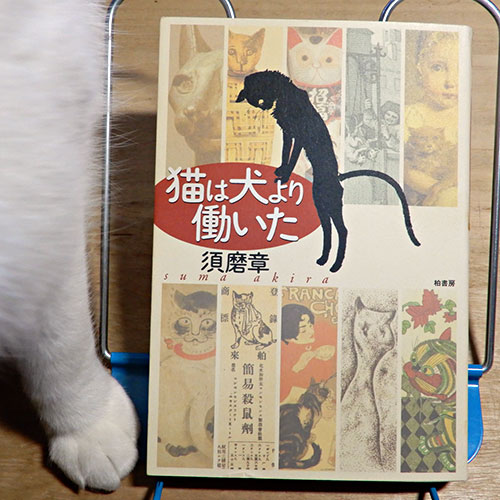 須磨章『猫は犬より働いた』