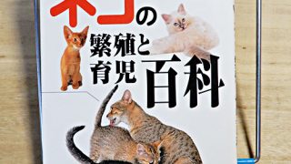 ネコ百科シリーズ『ネコの繁殖と育児百科』