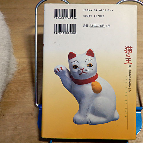 小島瓔ゆき『猫の王』