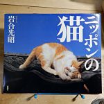岩合光昭『ニッポンの猫』