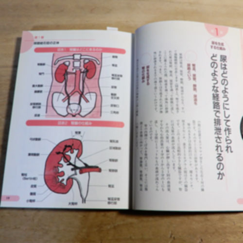 伊藤晴夫/成田和子『尿路結石症の治療と食事療法』
