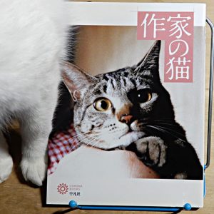 『作家の猫』