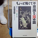 北嶋廣敏『ちょっと怖くて不思議な猫の話』