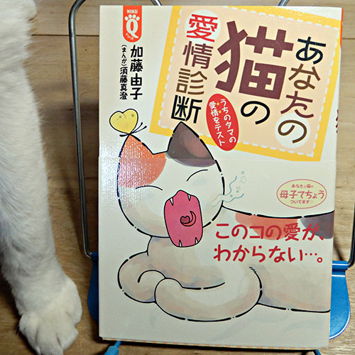 加藤由子『あなたの猫の愛情診断』