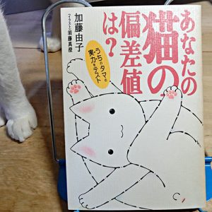 加藤由子『あなたの猫の偏差値は？』