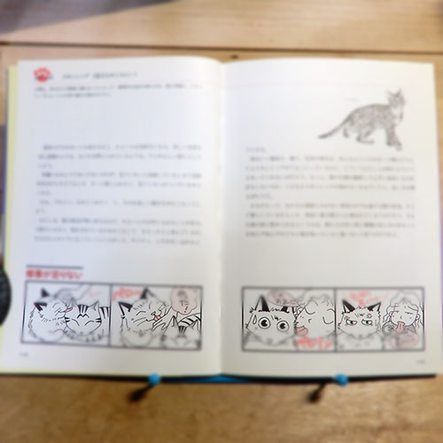 新美敬子『猫の気持ちがみえる本』
