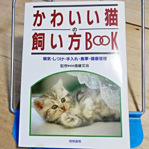 斎藤文治監修『かわいい猫の飼い方BooK』
