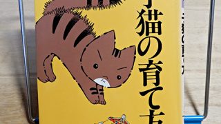 桜井幸子監修『うちの猫がいちばん！子猫の育て方』