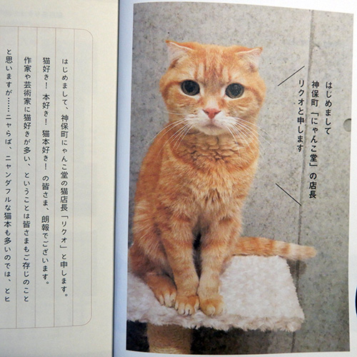 猫本専門神保町にゃんこ堂の『ニャンダフルな猫の本１００選』