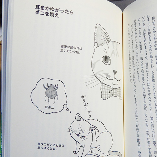 赤塚正明『症状別　猫の健康がひと目でわかる本』