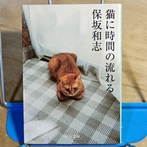 保坂和志『猫に時間の流れる』