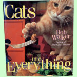 Walker『Cats into Everything』