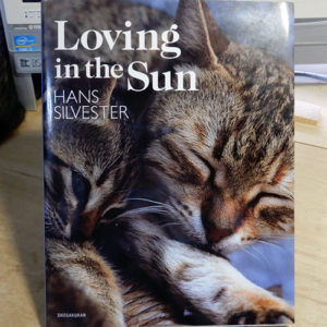 Silvester『Loving in the Sun』