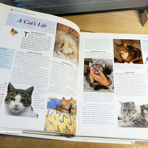 Pollard『The Encyclopedia of The Cat（猫の百科事典）』