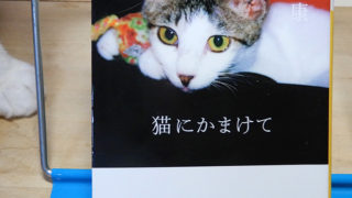 町田康『猫にかまけて』