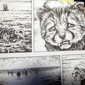 田中政志『ゴン』 | 猫好きが読んだ千冊の本