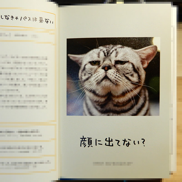 水野敬也 長沼直樹 人生はニャンとかなる 猫好きが読んだ千冊の本