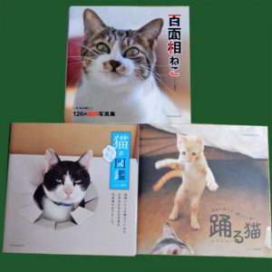 『百面相ねこ』『踊る猫』『猫あるある図鑑』