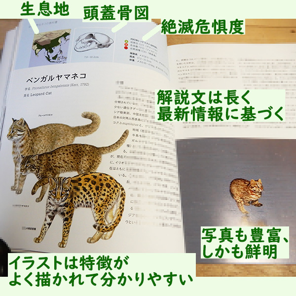 ハンター『野生ネコの教科書』
