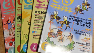 as-320x180.jpg