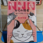 矢崎在美『NNN（ねこねこネットワーク）からの使者 猫だけが知っている』
