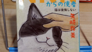 矢崎存美『NNN（ねこねこネットワーク）からの使者　猫は後悔しない』