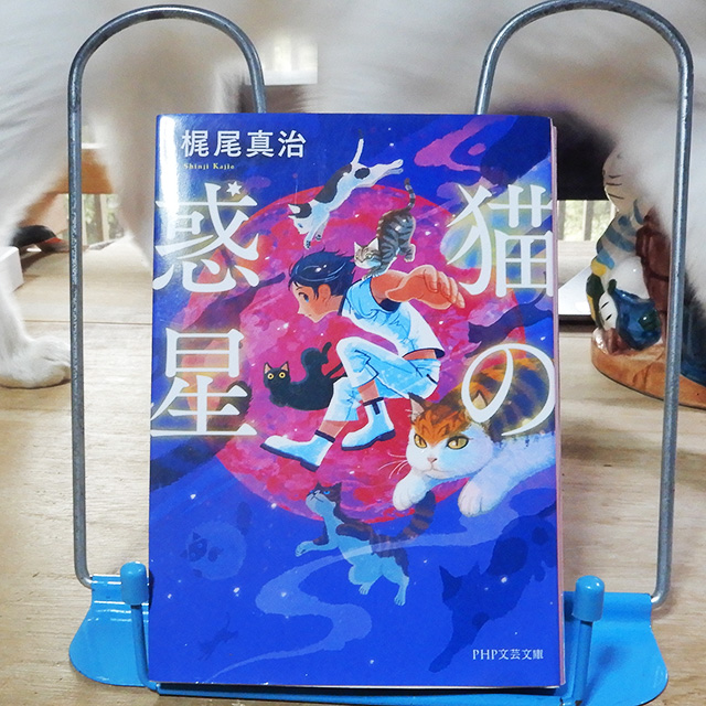 kajioshinji-nekonowakusei1.jpg