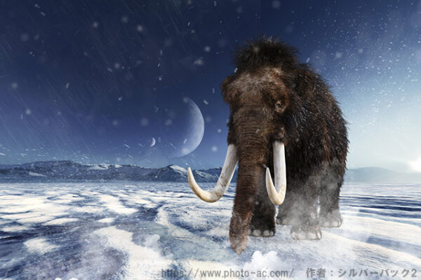マンモスのイメージ画像。
https://www.photo-ac.com/ ©シルバーバック2