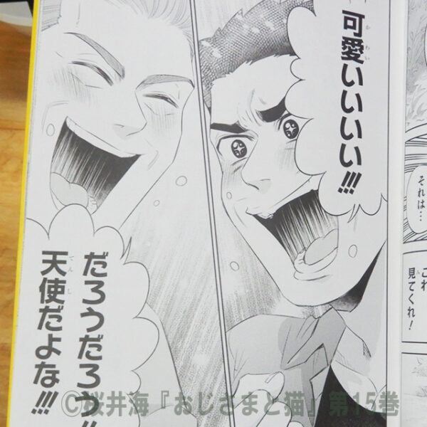 桜井海『おじさまと猫』第15巻