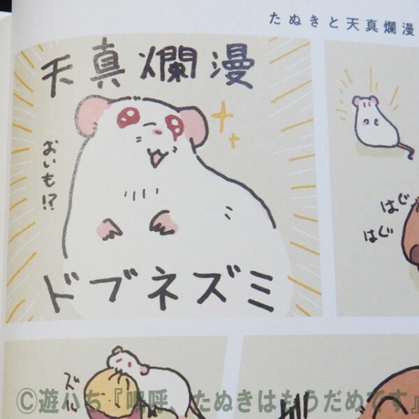 遊ハち『嗚呼、たぬきはもうだめです』