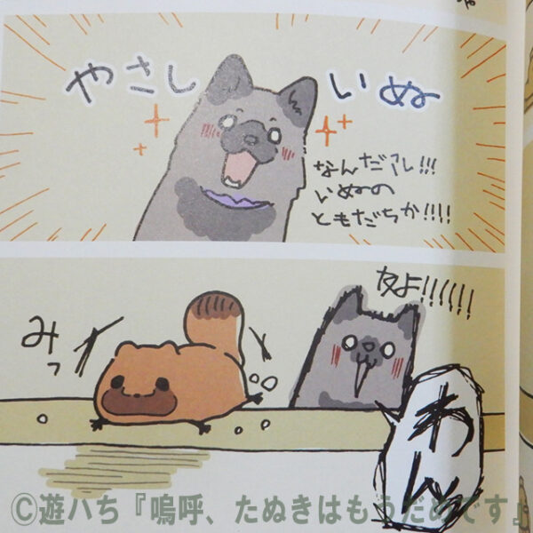 遊ハち『嗚呼、たぬきはもうだめです』