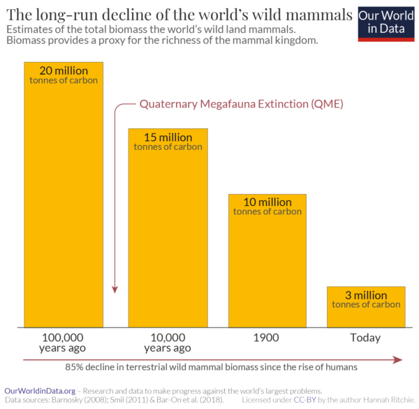 Our World in Data : "Wild mammals have declined by 85% since the rise of humans, but there is a possible future where they flourish"