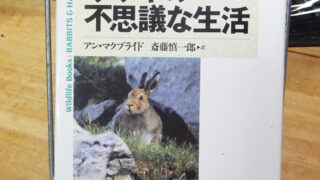 マクブライド『ウサギの不思議な生活』