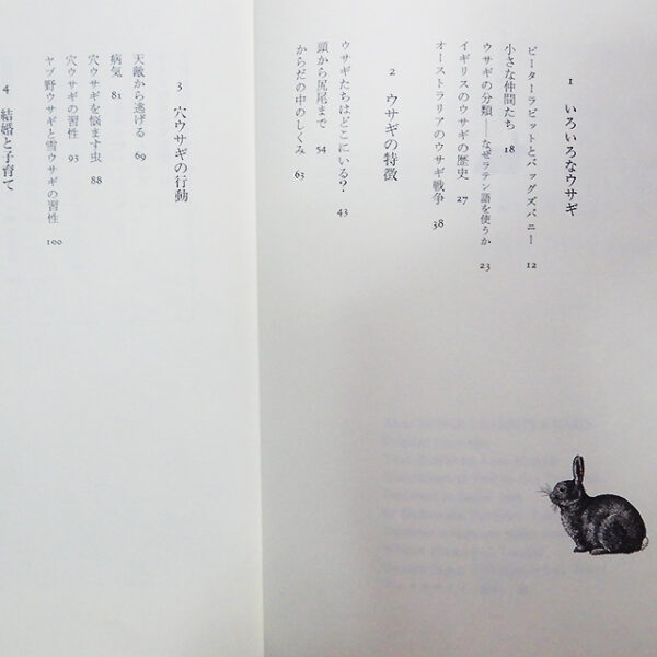 マクブライド『ウサギの不思議な生活』