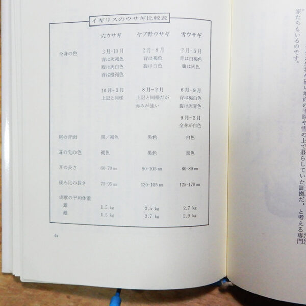 マクブライド『ウサギの不思議な生活』