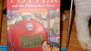 ローリング『ハリー・ポッターと賢者の石』