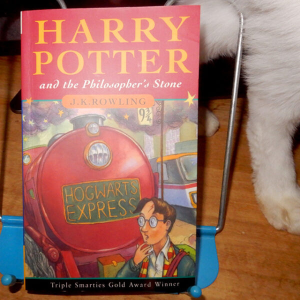 ローリング『ハリー・ポッターと賢者の石』