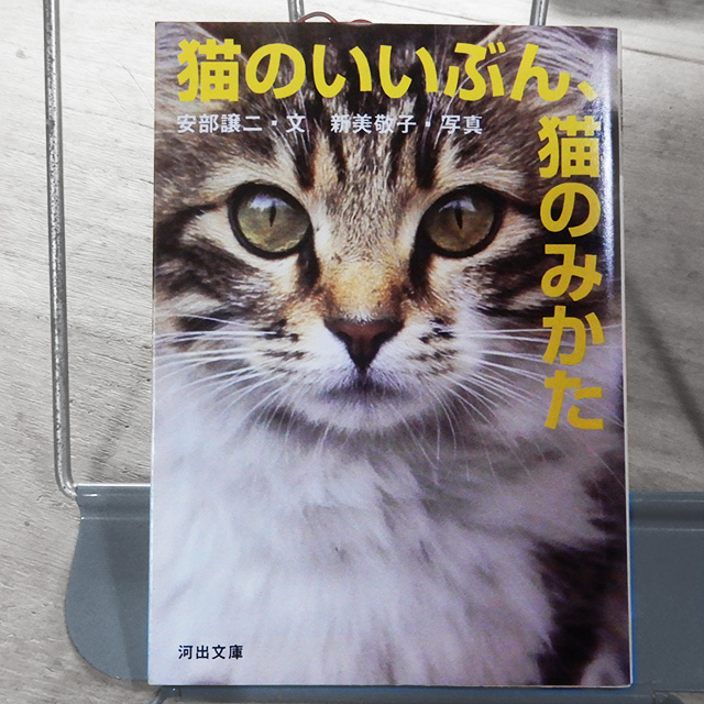 安部穣二『猫のいいぶん、猫のみかた』 | 猫好きが読んだ千冊の本
