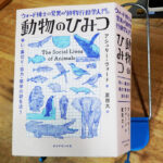 アシュリー・ウォード『動物のひみつ』