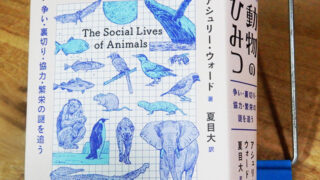 アシュリー・ウォード『動物のひみつ』