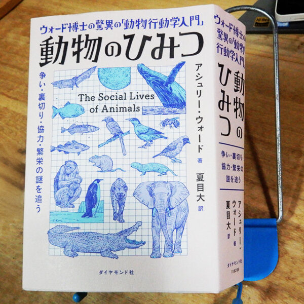アシュリー・ウォード『動物のひみつ』