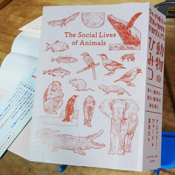 アシュリー・ウォード『動物のひみつ』